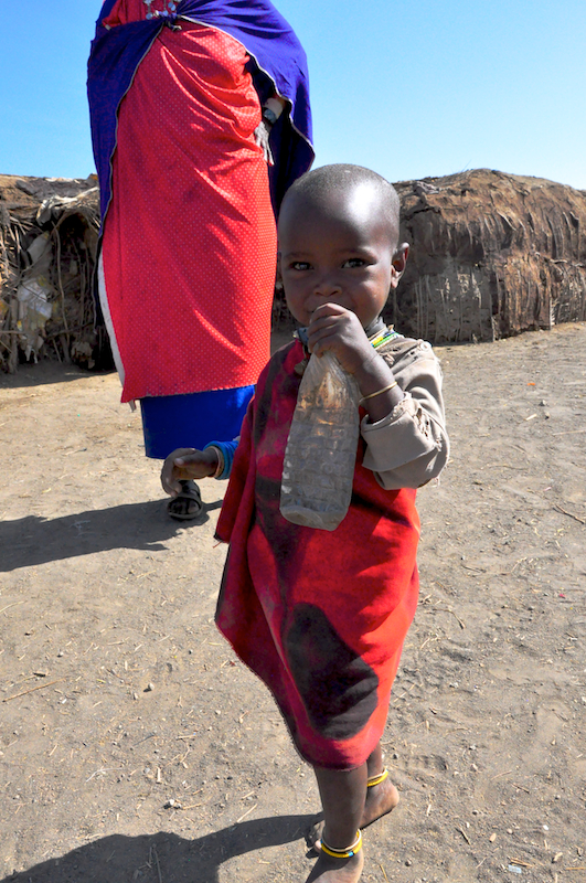 Ngorongoro Crater - Serengeti National Park